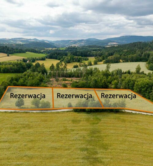 Wyjątkowe działki z widokiem na Góry Sowie!