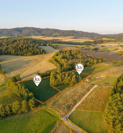 Działki przy lesie!